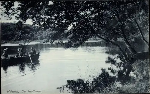 Ak Insel Rügen in der Ostsee, Herthasee, Ruderboot