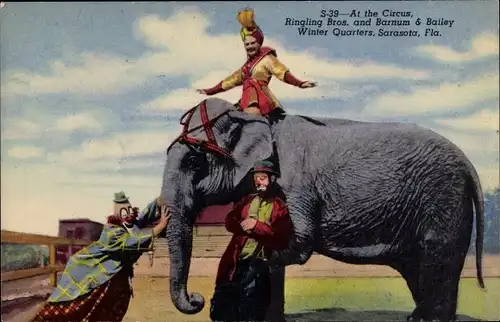Ak Sarasota Florida, At the Circus, Ringling Bros., Barnum & Bailey, Winter Quarters, Elefant, Clown