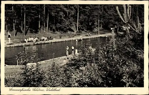 Ak Reinhardtsdorf Schöna Sächsische Schweiz, Waldbad