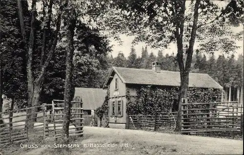 Ak Hasselfelde Oberharz am Brocken, Partie am Stemberg