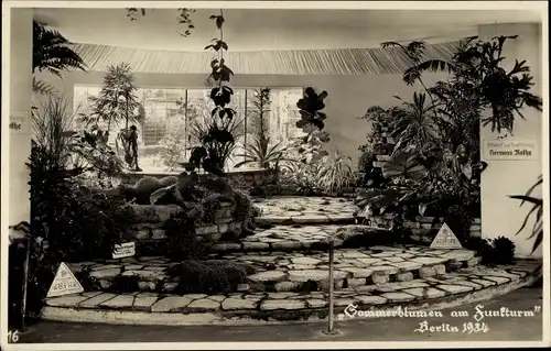 Ak Berlin Charlottenburg, Sommerblumen am Funkturm, Ausstellung 1934