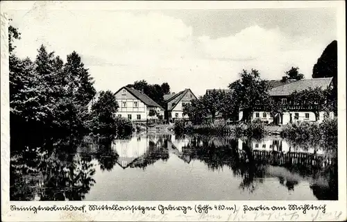 Ak Steinigtwolmsdorf in der Lausitz, Mühlteich