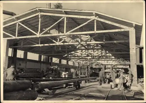Foto Ak Osterode am Harz, Dampfsägewerk und Holzhandlung