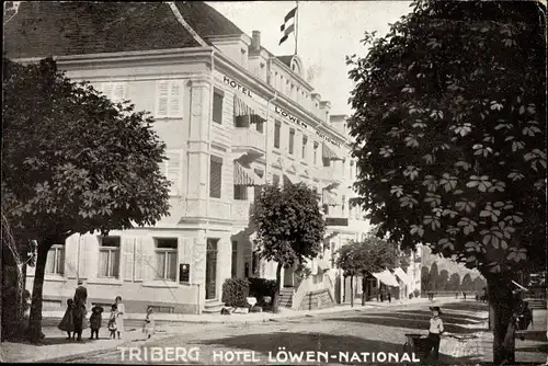 Ak Triberg im Schwarzwald, Hotel Löwen National, Bes. L. Nassoy