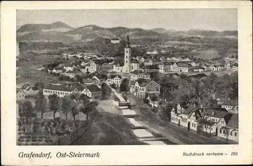 Künstler Ak Grafendorf Steiermark, Totalansicht der Ortschaft