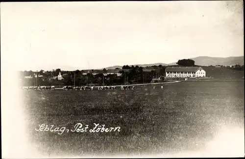 Foto Ak Schlag in Niederösterreich, Blick auf Ortschaft und Umgebung, Kuhweide