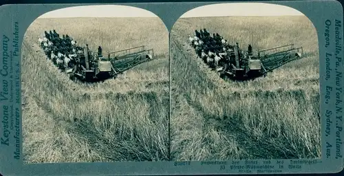 Stereo Foto Pferdemähmaschine auf dem Feld