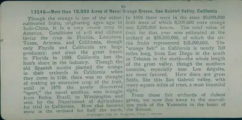 Stereo Foto San Gabriel Valley Kalifornien USA, Orangenplantage