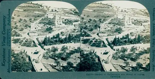 Stereo Foto Jerusalem Israel, Garden of Gethsemane and Mount of Olives, Palestine