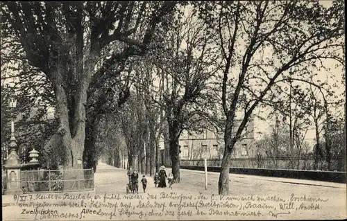 Ak Zweibrücken in der Pfalz, Allee