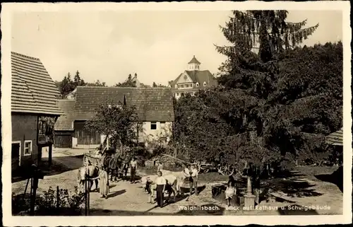 Ak Waldhilsbach Neckargemünd in Baden Württemberg, Rathaus und Schulgebäude