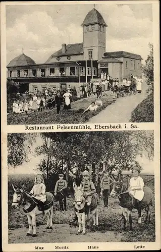 Ak Ebersbach Neugersdorf, Restaurant Felsenmühle, Kinder auf Eseln