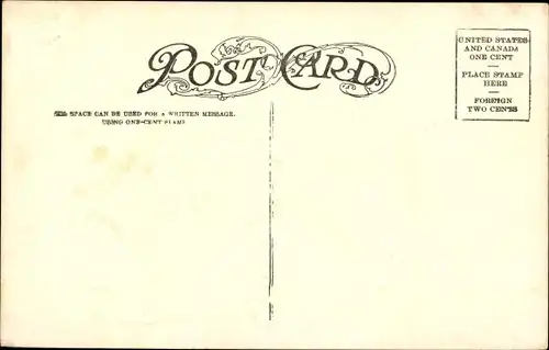 Ak Chrysanthemum, Esel