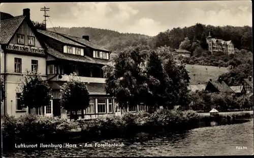 Ak Ilsenburg im Harz, Forellenteich, Gasthaus zu den Roten Forellen