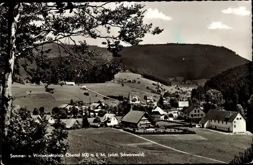 Ak Obertal Baiersbronn im Schwarzwald, Panorama