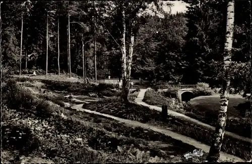 Ak Bad Sachsa im Harz, Kurpark, Steingarten