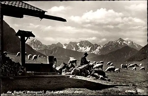 Ak Mittenwald in Oberbayern, Tonihof, Tiroler Berge, Schäfer, Schafherde