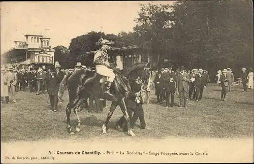 Ak Chantilly Oise, Prix La Rochette, Purple Sage, vor dem Rennen