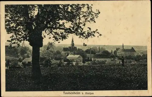 Ak Taubenheim Klipphausen in Sachsen, Ortsansicht, Kirchturm