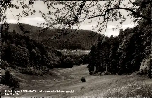 Ak Bernbach Bad Herrenalb im Schwarzwald, Panorama