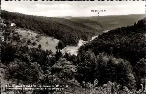 Ak Bernbach Bad Herrenalb im Schwarzwald, Bernbachtal, Dobel, Panorama