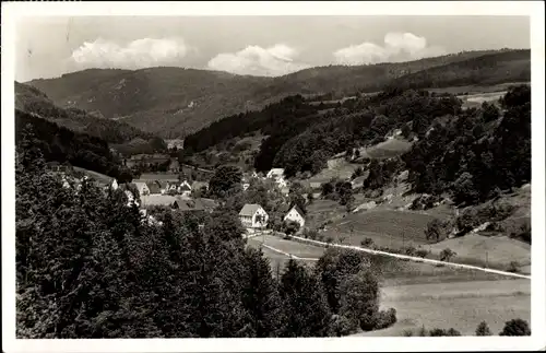 Ak Thalheim Happurg in Mittelfranken, Hersbrucker Alb, Panorama