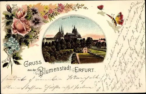 Litho Erfurt in Thüringen, Dom, Sankt-Severinkirche, Rosen, Vergissmeinnicht, Schmetterling