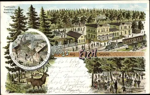 Litho Eich Treuen im Vogtland, Bahnhof, Vogtländische Fichtenpechsiederei J. C. Pering