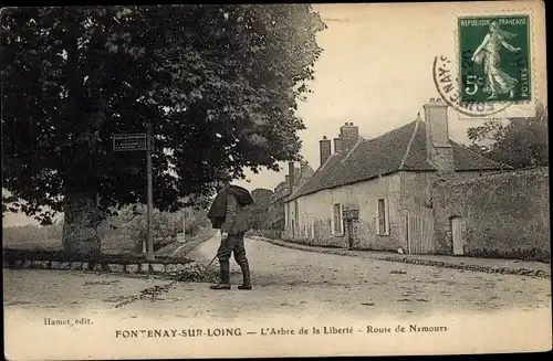 Ak Fontenay sur Loing Loiret, L'Arbre de la Liberte, Route de Nemours