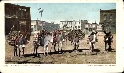 Ak Mexiko, viel beladen, aber nüchtern