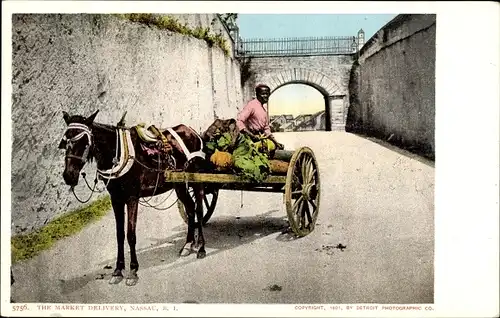 Ak Nassau Bahamas, The Market Delivery