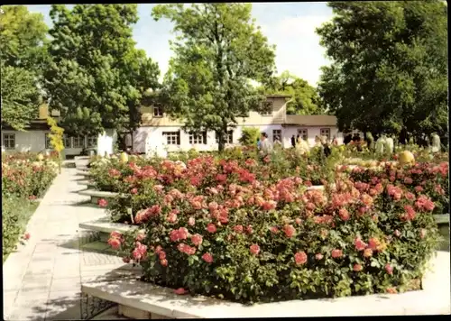 Ak Erfurt in Thüringen, Internationale Gartenbauausstellung Iga, Rosengarten