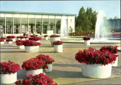 Ak Erfurt in Thüringen, Internationale Gartenbauausstellung, 10 Jahre Iga 1961-1971