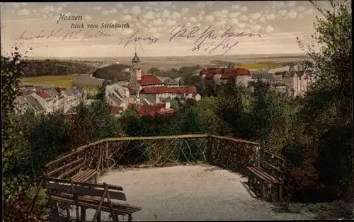 Ak Nossen in Sachsen, Blick vom Steinbusch, Kirchturm