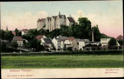 Ak Nossen in Sachsen, Schloss Nossen