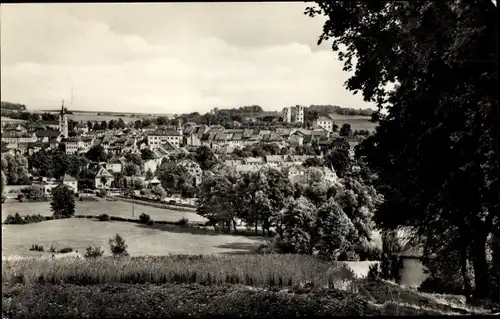 Ak Schleiz im Vogtland Thüringen, Ortsansicht