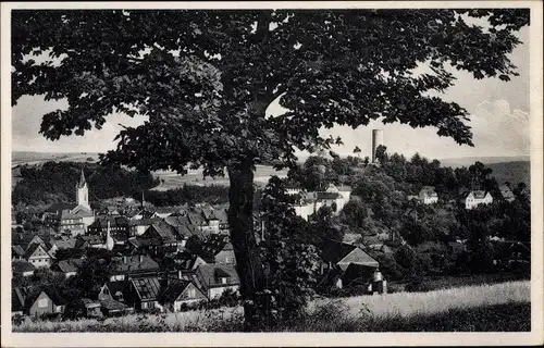 Ak Bad Lobenstein in Thüringen, Blick von der Winterleit