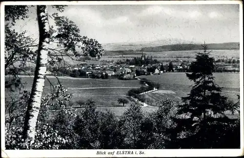 Ak Elstra in der Oberlausitz Sachsen, Panorama