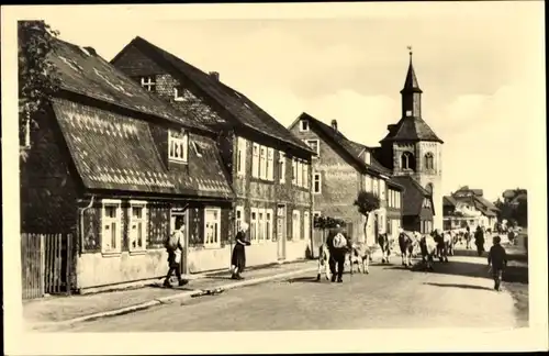 Ak Neustadt am Rennsteig Großbreitenbach in Thüringen, Straße, Kühe, Kirche