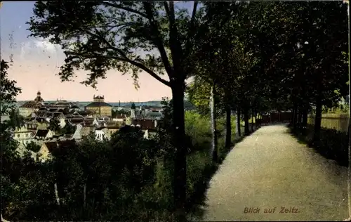 Ak Zeitz im Burgenlandkreis, Ortsansicht