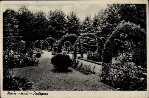 Ak Markranstädt in Sachsen, Stadtpark, Rosenbögen