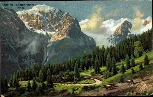 Künstler Ak Ortler Ortles Südtirol, Ortlerferner