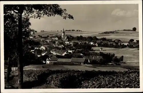 Ak Tanna b. Schleiz, Totalansicht