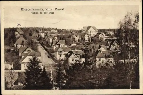 Ak Bad Klosterlausnitz in Thüringen, Villen an der Lust