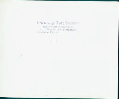 Foto Berlin Mitte, Brandenburger Tor, FDJ Fahne, 1952