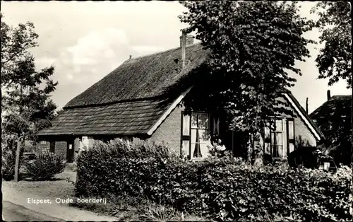 Ak Elspeet Gelderland, Reetdachhaus