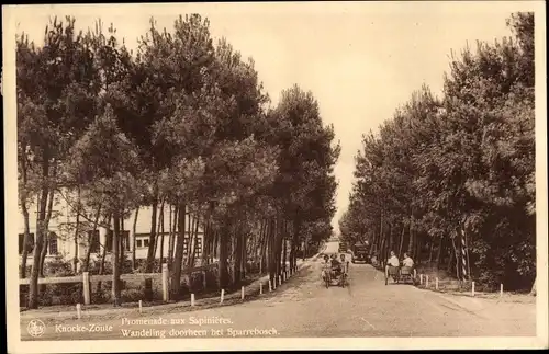 Ak Zoute Knokke Heist Westflandern, Promenade aux Sapinieres