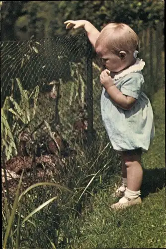 Ak Prinzessin Beatrix der Niederlande, Enten