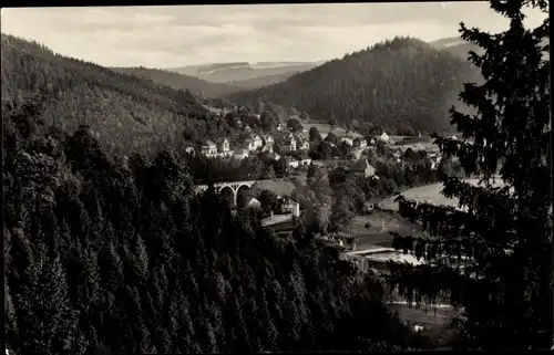 Ak Ziegenrück an der Saale Thüringen, Viadukt, Panorama