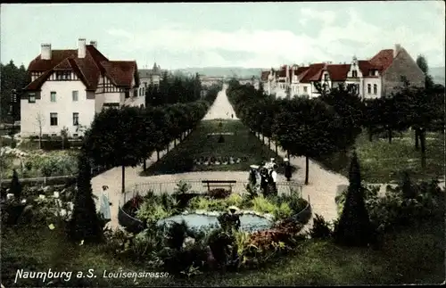Ak Naumburg an der Saale, Louisenstraße, Wohnhäuser und Parkanlagen, Teich
